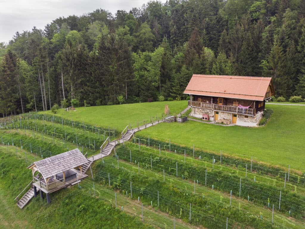 Landhaus Moser Luftaufnahmen-1 Ein charmantes Ferienhaus mit rotem Dach steht auf einem grünen Hang, umgeben von Terrassengärten, Bäumen, einem Pavillon und einer Treppe, die sich den Hang hinaufschlängelt.